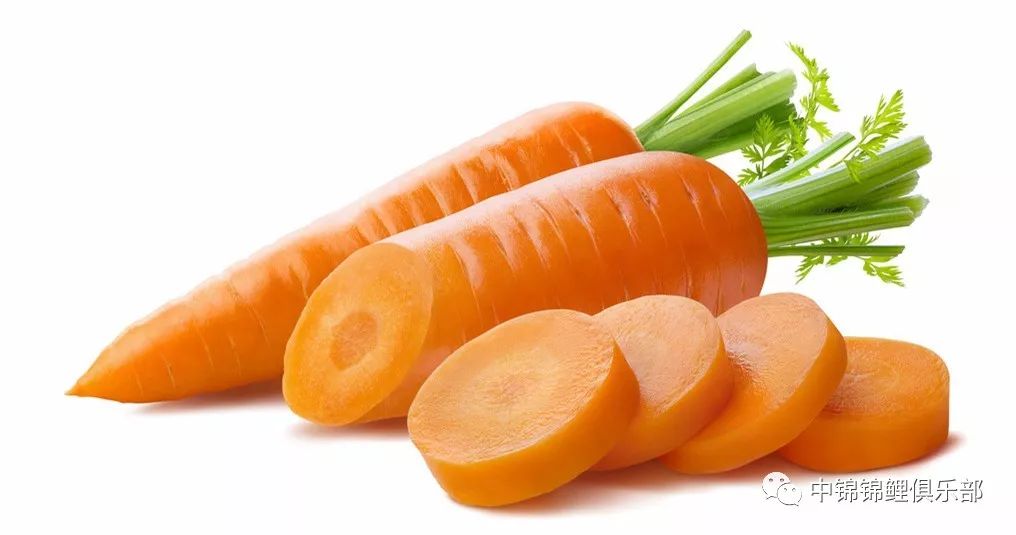 锦鲤辅食大全,看看你家爱鲤吃过几种?