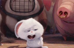 252_166gif 动态图 动图