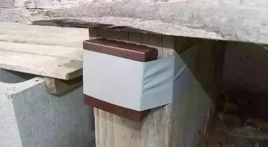 诱杀蚊子_夏季蚊虫叮咬 驱蚊方法 驱蚊产品