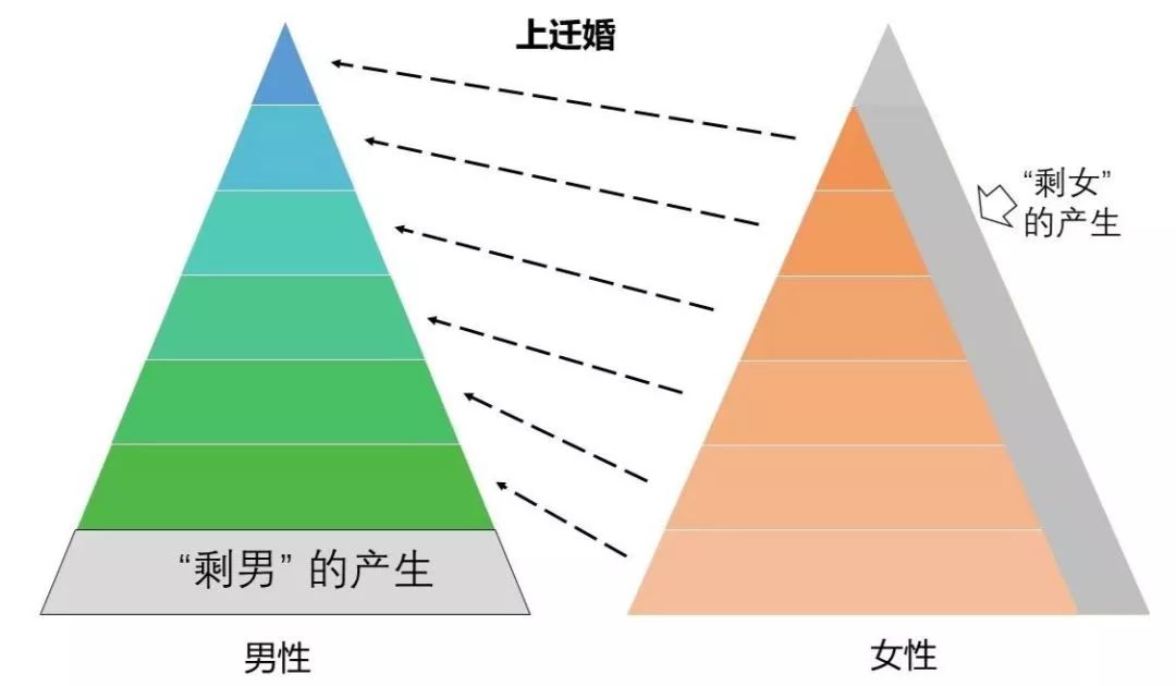 为什么会有免疫和凝血问题 a769ec52a06247b4a02505eca28e91d2.jpeg