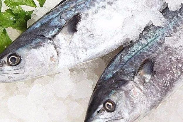鱼解冻需要多长时间最合适 a7778046d41148ab9085767236f25e05.jpeg