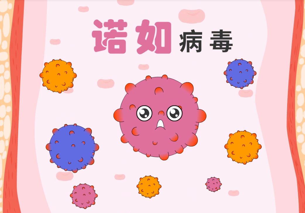 诺如病毒感染全年均可发生,10月到次年3月是诺如病毒流行的高发季节.
