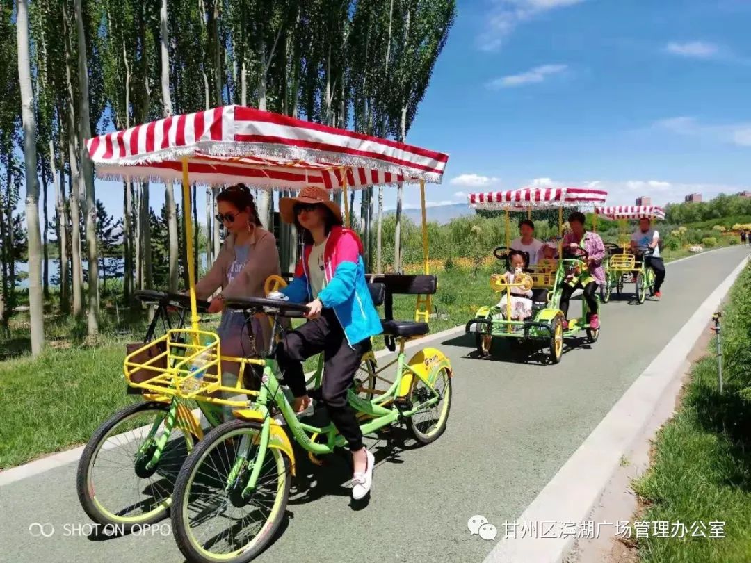 趣味自行车 健康绕湖行 芦水湾生态景区趣味自行车增添出行生活新色彩