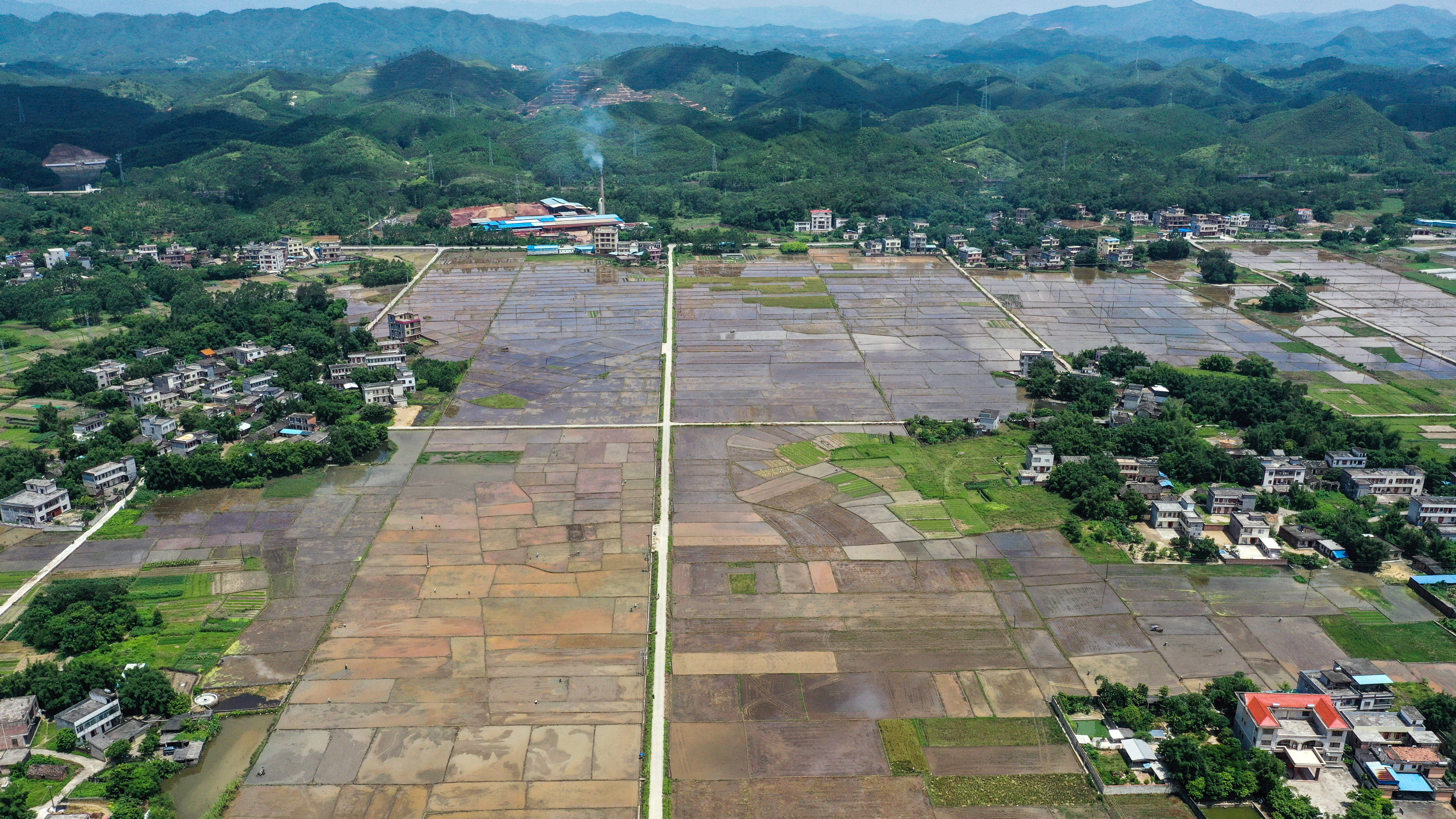 2019年7月17日广西钦州"双抢"忙农事这是7月17日无人机拍摄的钦州市