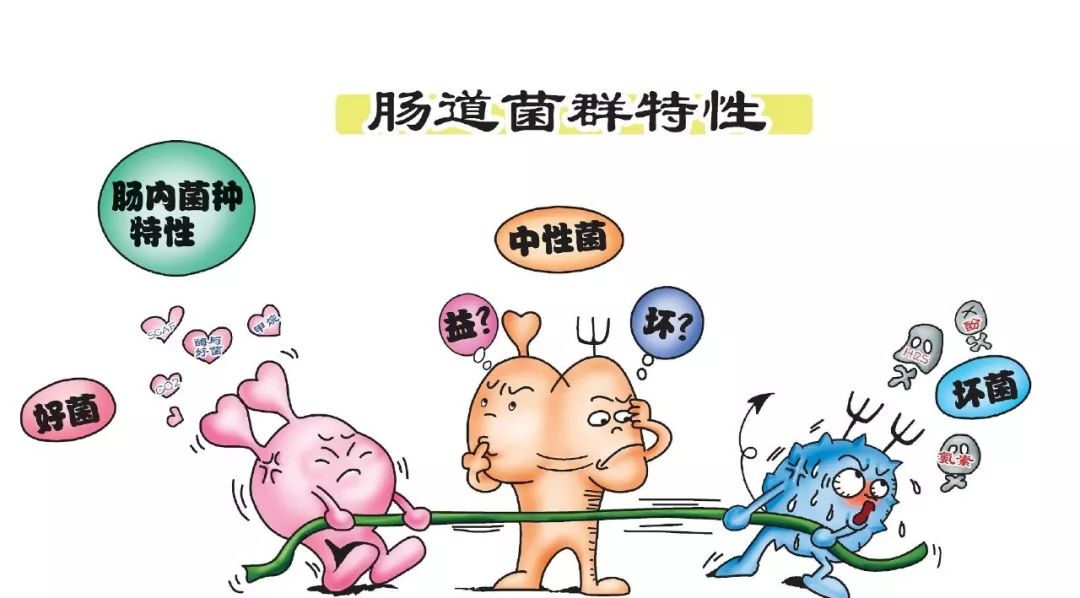 氨基酸是干什么用 c0051c8f5ab0429a9c6c7abf6dea7195.jpeg