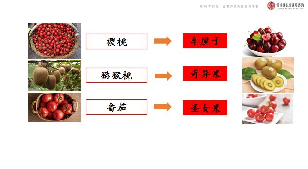 玫瑰国家总人口有多少_玫瑰简笔画