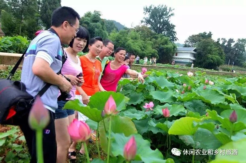 休闲农业经营理念落后将导致休闲农庄的五大误区开云 开云体育平台