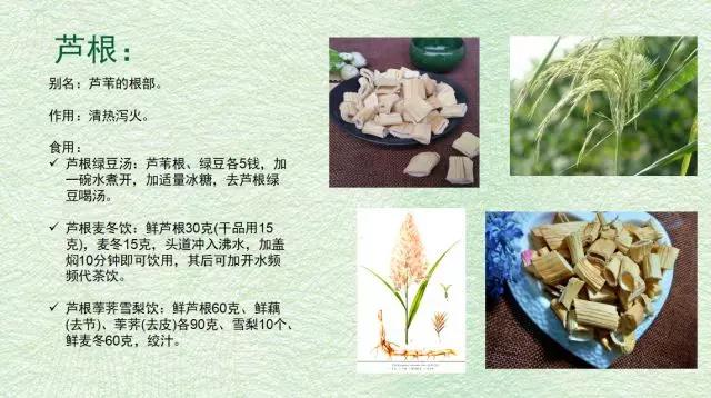                     【古方】春晚上的25个舞者中竟有18个是因发烧时滥用抗生素致聋！