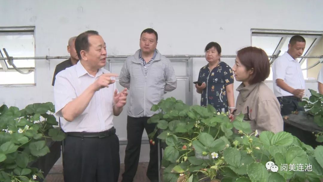 【优化营商环境】黑河市政协副主席白树生一行深入我