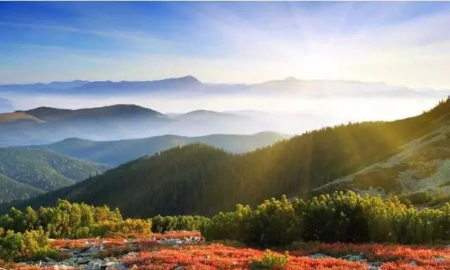 诗意周至 | 尹樊子尧朗诵《为祖国而歌》