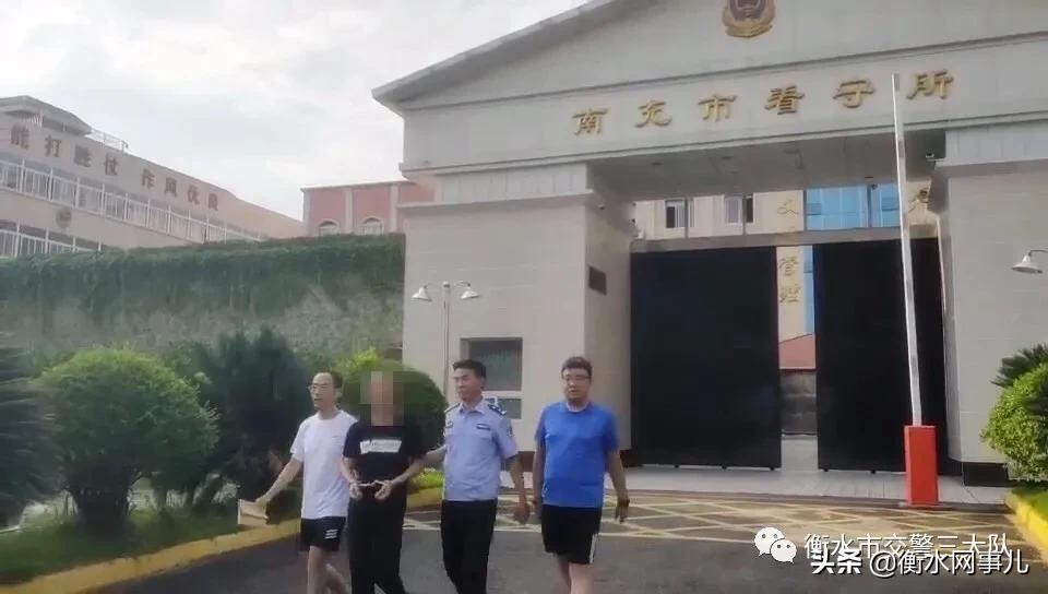 青鸟市人口_利兹与青鸟图片(3)
