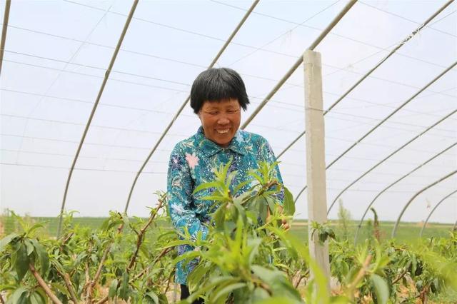 莒县现有人口_莒县廊桥图片(2)