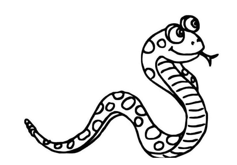 关于蛇的成语有什么_含反义词的成语有什么