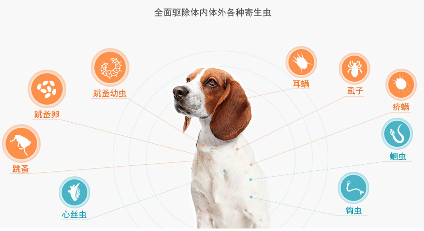 d740aaae65f64475a5cc1ecad3368943.png