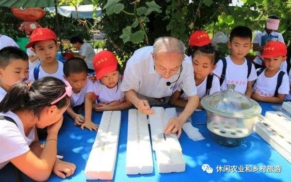 休闲农业经营理念落后将导致休闲农庄的五大误区开云 开云体育平台(图13)