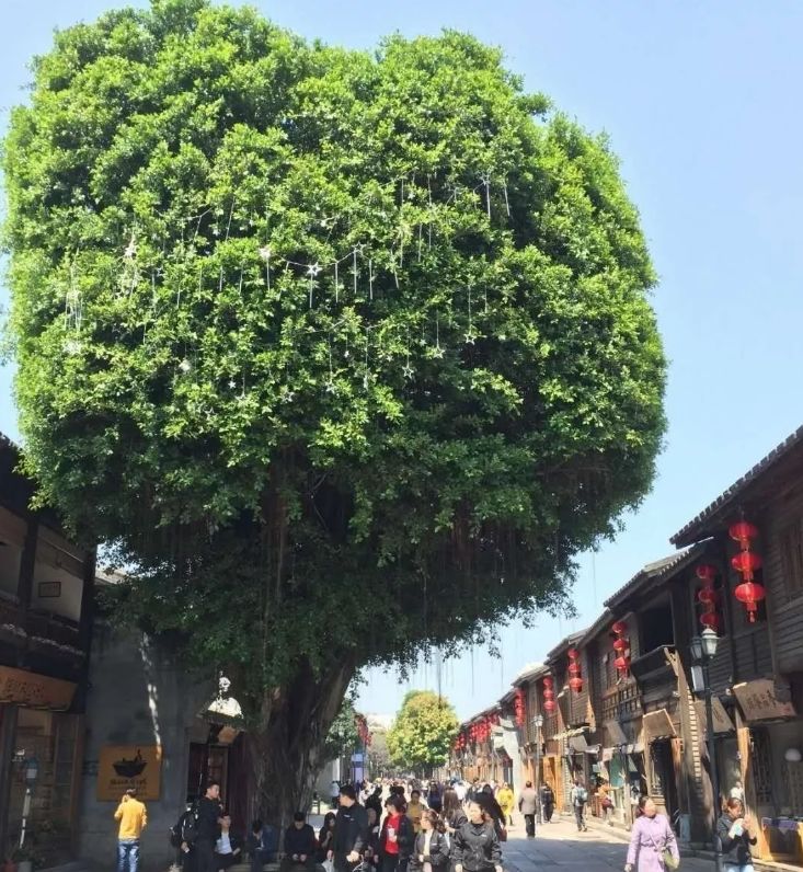 三坊七巷官微"三山鼎峙,一水长流"是大自然赋予福州这座城市的秀丽