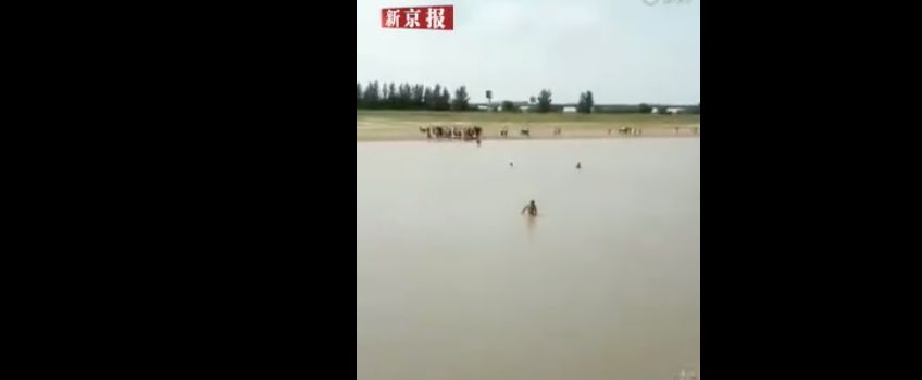                     真怒了！看看青岛野浴场热闹的…还有那么多孩子！要出多少人命，才能让你们警醒