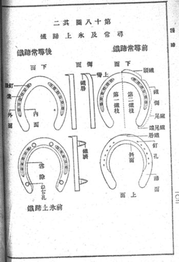 曾比驴子还迷你，为何最后成了“大洋马”，简述日本军马培育之路