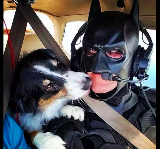 流浪狗要安樂死？「蝙蝠俠」不同意，統統讓它們走向幸福回家路！ 寵物 第2張