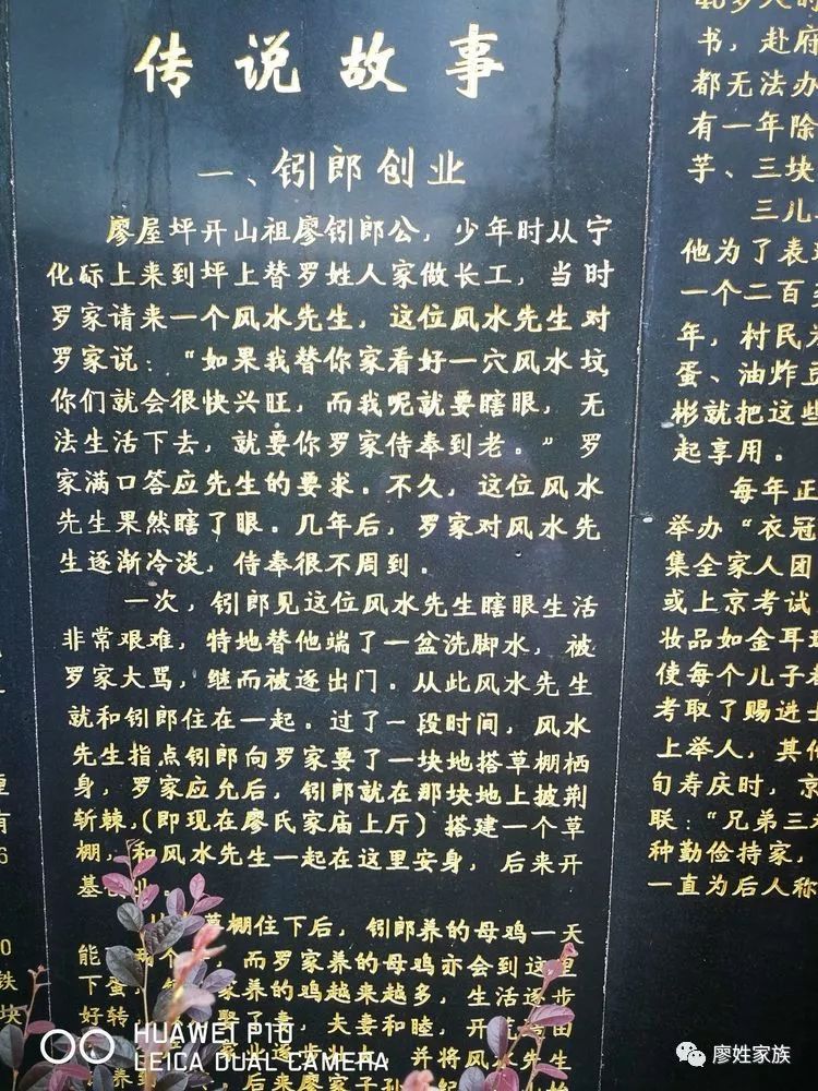 廖氏人口_人口普查图片(3)