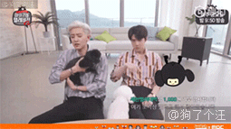 这两位爱豆的狗性格一目了然一个静如处子一个动如脱兔这活泼的样子