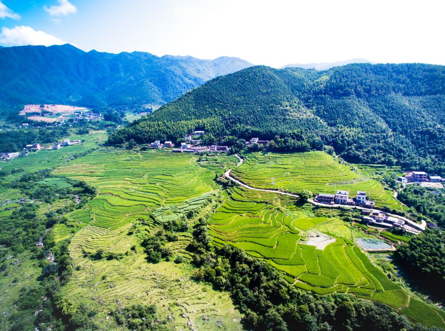 武平梁野山下教文村天然氧吧里的村庄