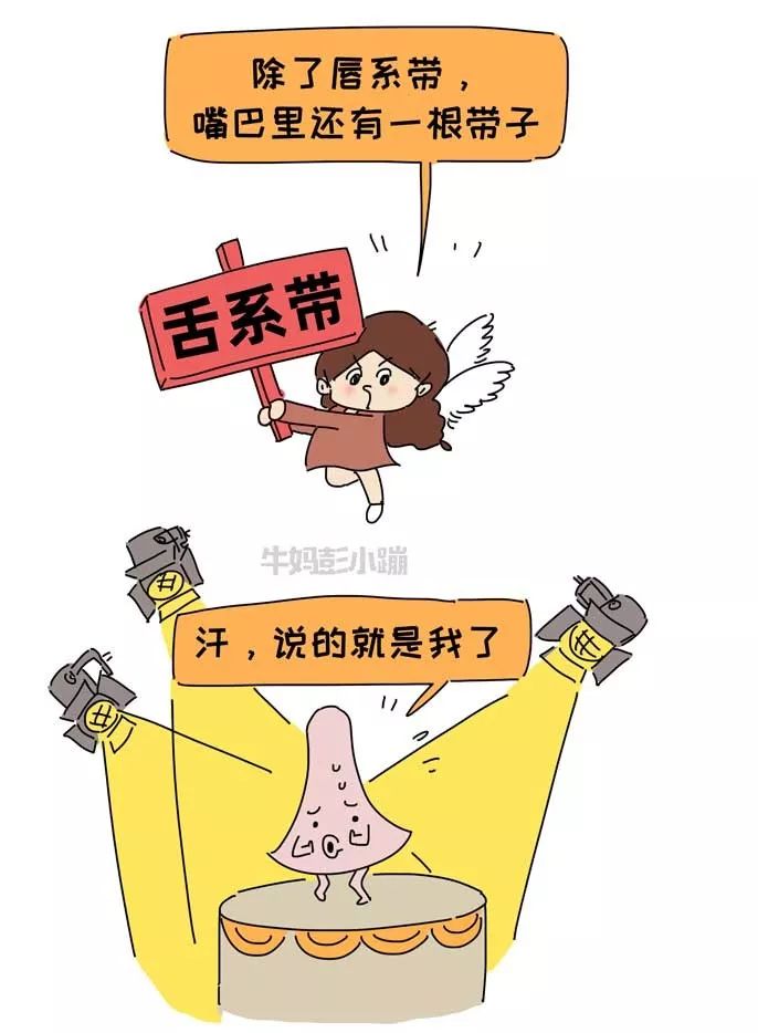                     嘴巴里这两根带子了解下，关乎孩子颜值、出牙、说话……