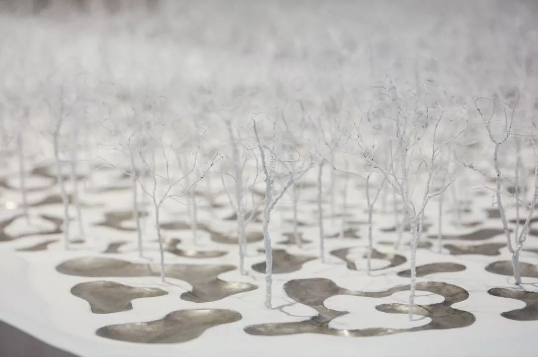 石上纯也和他的自由建筑:我想看到那些在过去