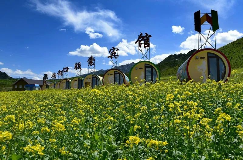 七月在扁都口遇见最美的油菜花海