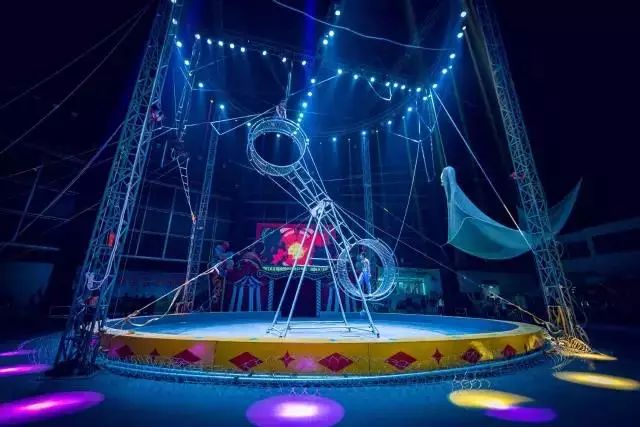 超值劲爆!无锡动物园 海洋馆 国际大马戏表演 荡口古镇138元全搞定!