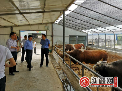 新和县联社存贷款再创市场份额新高 e世博国际APP
