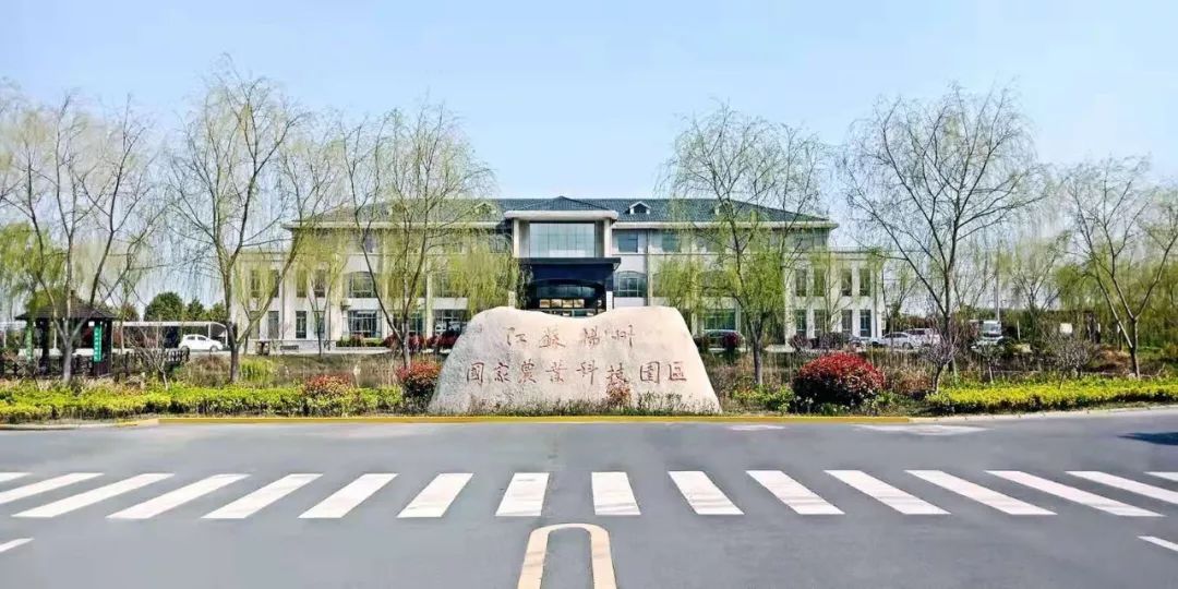 高邮市卸甲镇gdp_江苏省高邮市界首镇