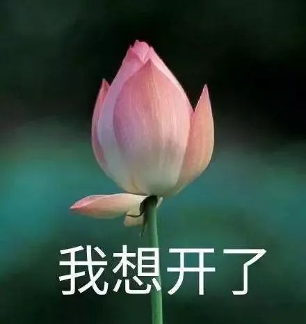 3040378de23d41a491e98affea7f5d94.jpeg