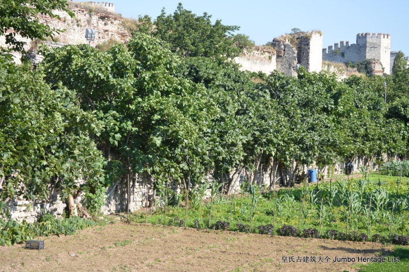 ��633�أ���������������ԣ��׸���˹�׷�����