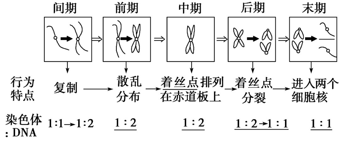 核变的原理_离子液体热分解机理的原位变温多核核磁共振研究(2)