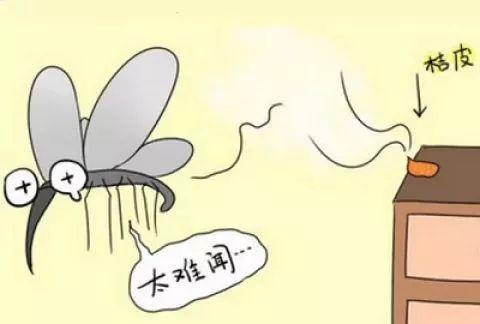 怎么去除车里的蚊子 3f8b55a0fb724c39975fd5fd0b9404fe.jpeg