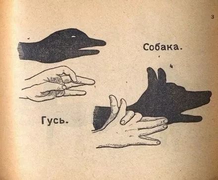 420eabb9c28047f5a65f4de0fb6dd50e.jpeg