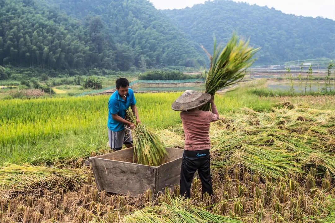湖北出走人口_湖北地图
