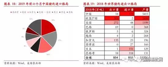 文章配图-13