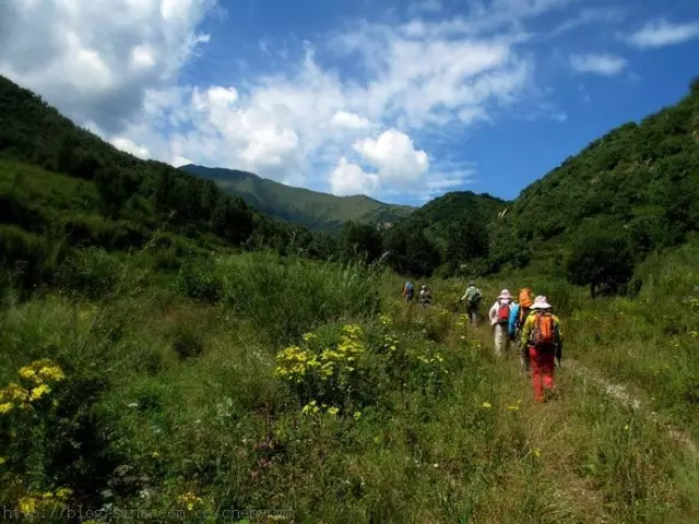 涿鹿县卧佛寺村人口(3)