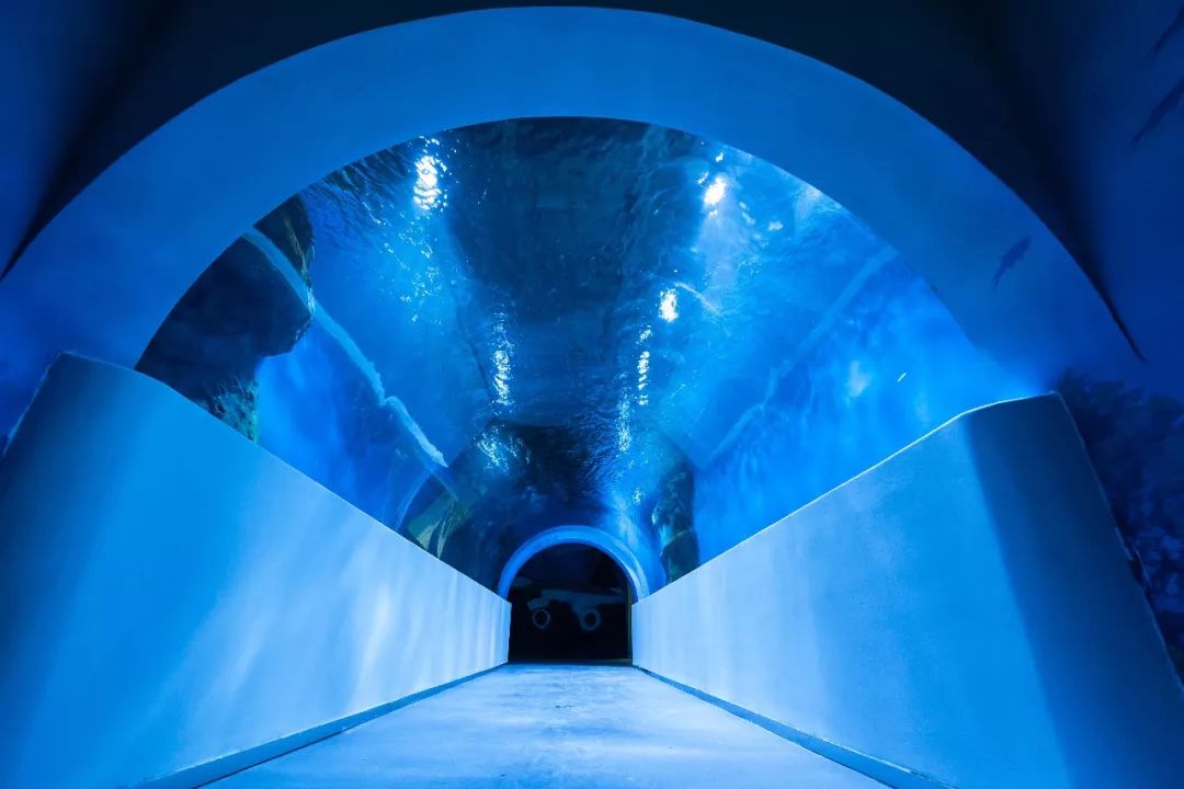 全城转发梦幻西宁有了第一条海底隧道看看在哪
