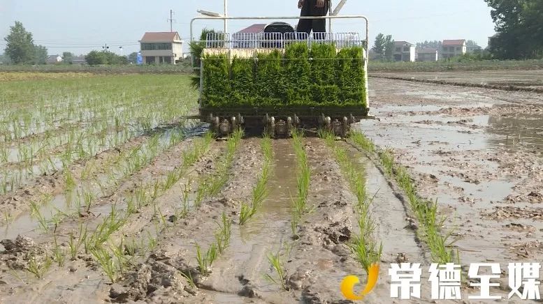 (汉寿电视台童忠平 李一曦 编辑 高乾)返回搜狐,查看更多