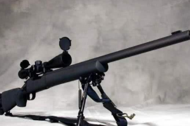 m110狙击步枪