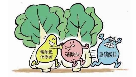 绿叶菜隔夜产生亚硝酸盐是真的吗 6baf4f8e908a497d808bff86e9af80d7.jpeg