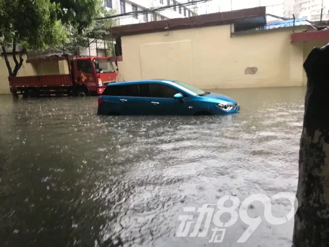 暴雨下的襄阳,全城开启防汛模式!