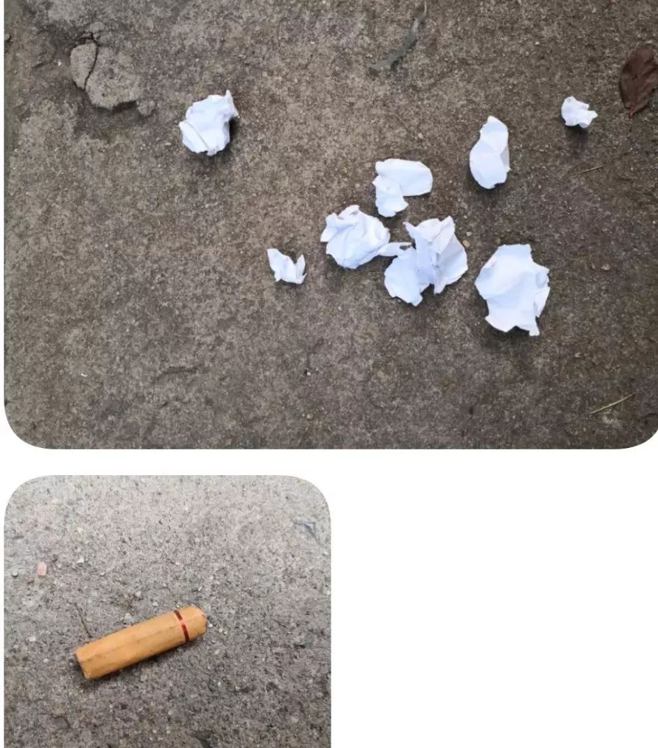 乱扔瓜果皮,纸屑,烟蒂,包装物等废弃物