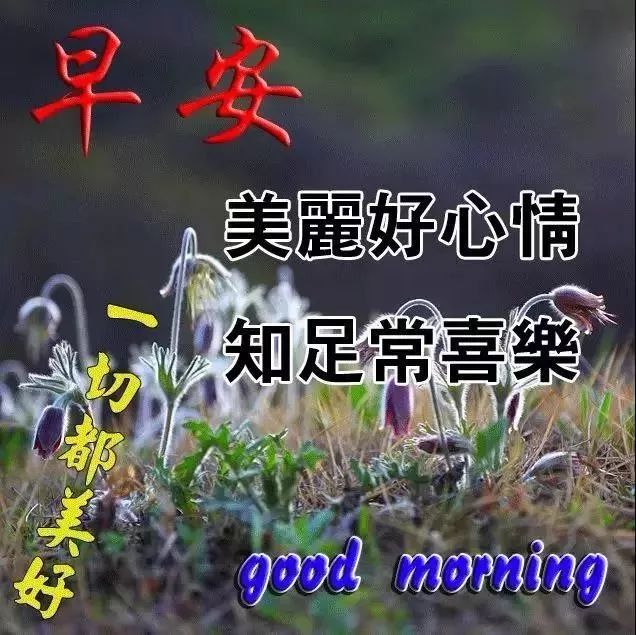 750d47e25b3c44b3bf21d57ca748550f.jpeg