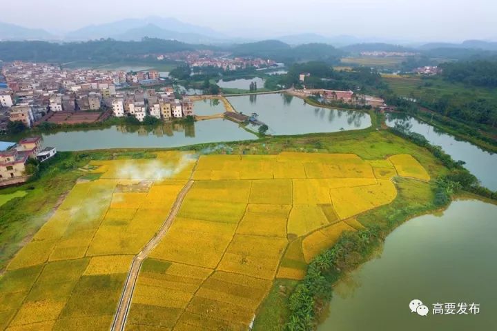 高要区总人口多少人_肇庆市高要区地图(2)