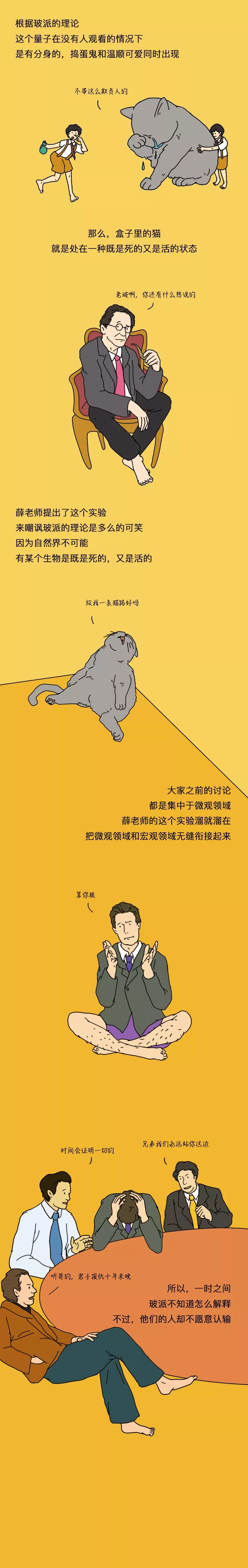 薛定谔的猫为什么既是活的又是死的?_观测