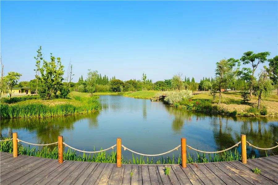 告别空调依赖!来到巴城才知道,夏日还可以这样过